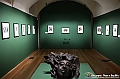 VBS_8027 - Mostra Carlo Carosso. Dioniso e Orfeo Poesia e colori del mito
